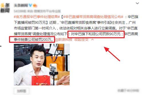 辛巴母亲爆料视频大全集,揭秘辛巴家族背后的真相  第2张
