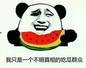 武都网红吃瓜群众是谁啊,揭秘武都网红“吃瓜群众”的真实身份 第2张 武都网红吃瓜群众是谁啊,揭秘武都网红“吃瓜群众”的真实身份 第2张