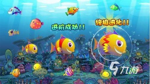小鱼娱乐爆料王,王爆料背后的故事  第2张